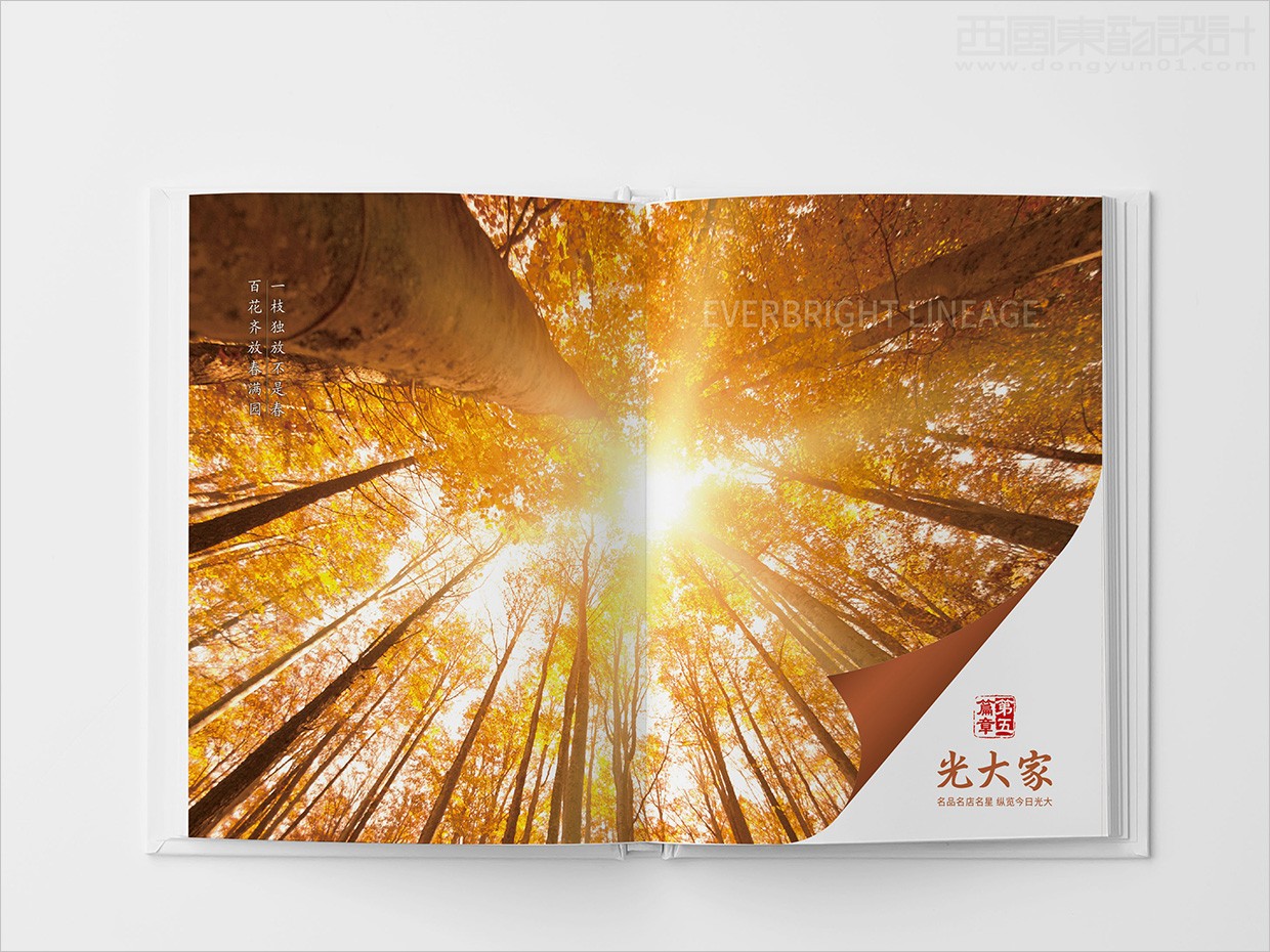 中國光大集團(tuán)畫冊(cè)設(shè)計(jì)之畫冊(cè)內(nèi)頁設(shè)計(jì)